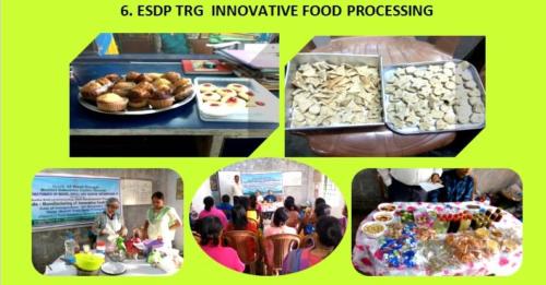 6. ESDP TRG  INNOVATIVE FOOD PROCESSING